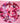 Floating Pink Roses