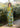 Entwined Checkered Sari