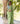 Whispering Ivy Green Sari