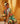 Multicolor Short Tier Dress