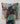 Poppies Chanderi Scarf in Night
