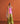 Neon Pink Slip Kurta with Green Gharara Set