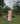 Meadow Carnival Side Cut Dress