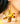 Fiore Dangler Earrings in Gold
