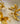 Fiore Earrings in Gold