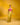 The Citrus Spark Sari