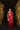 The Siren Sari in Red
