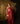 The Siren Sari in Red