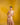 The Rosy Revelry Sari