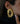 Glow Earrings