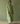 Vira Hand Embroidered Linen Kurta Set in Meadow