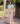 Forest Breeze Pink Scalloped Sari