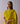 Whispering Ivy Embroidered Yellow Sari
