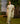 Garden's Edge Sari