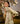 Under-the-Fig-Tree Yellow Dupatta