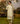 Garden's Edge Yellow Kurta Set